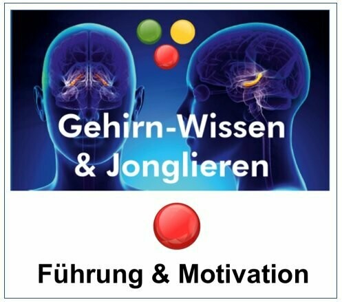 Training-Gehirn-Wisen+Jonglieren-Fuehrung+Motivation
