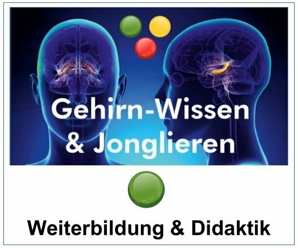 Training-Gehirn-Wissen+Jonglieren-Weiterbildung+Didaktik